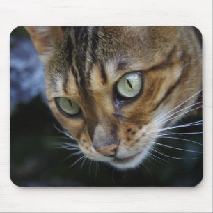 Mousepad Gato Bengala