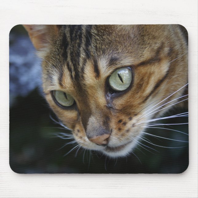 Mousepad Gato Bengala Gasto (Frente)