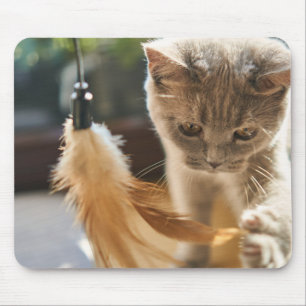 Mousepad Gato, bonitinho, brincar