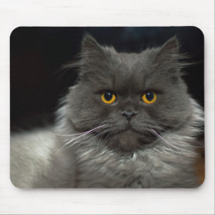 Mousepad Gato bonito