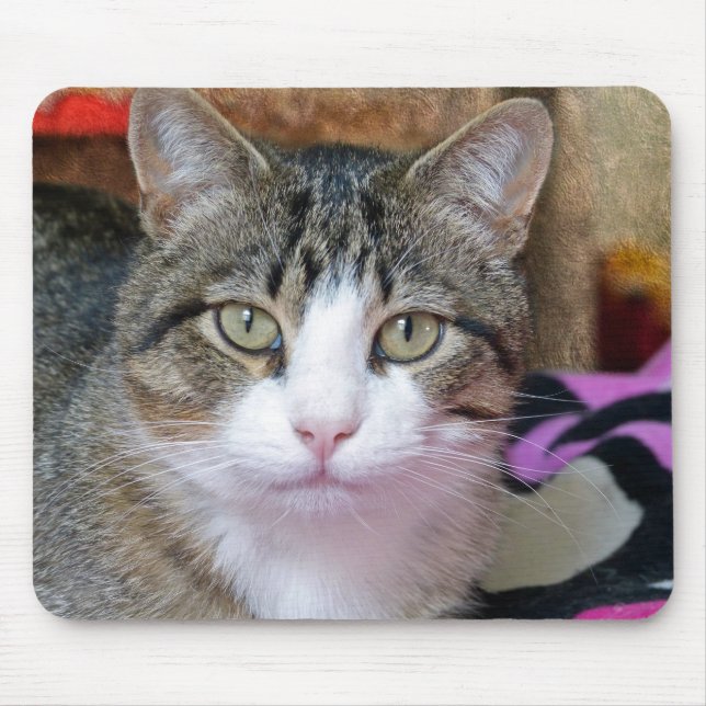 Mousepad Gato bonito (Frente)