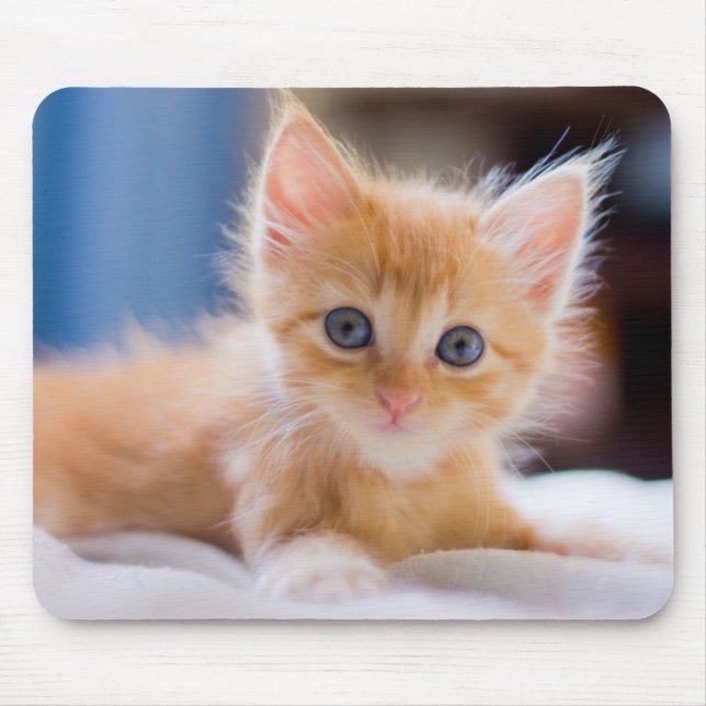 Mousepad Gato bonito com olhos azuis (Frente)