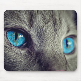 Mousepad Gato bonito com olhos azuis Prato de rato