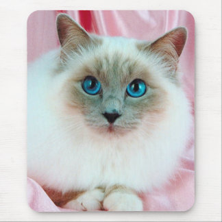Mousepad Gato bonito da pedigree