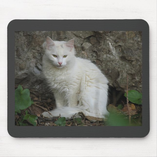 Mousepad Gato Branco (Frente)