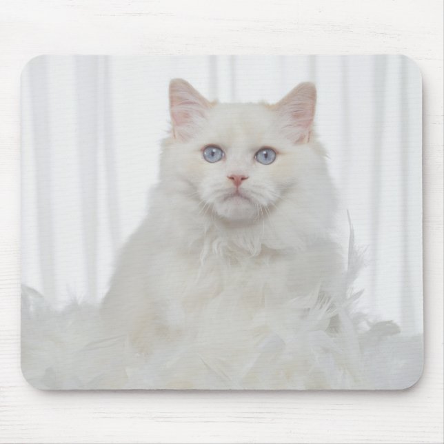 Mousepad Gato Branco com Penas (Frente)
