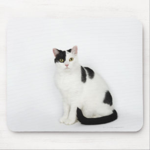 Mousepad Gato branco com pontos pretos
