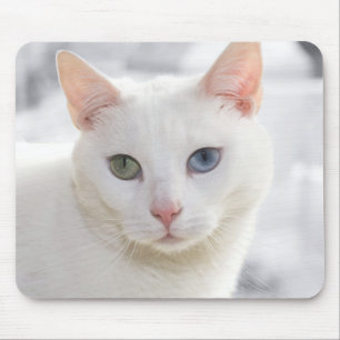 Mousepad gato branco de olhos estranhos se aproxima da face