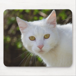 Mousepad Gato Branco lindo