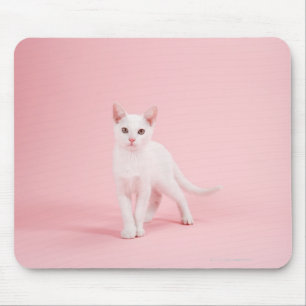 Mousepad Gato branco novo