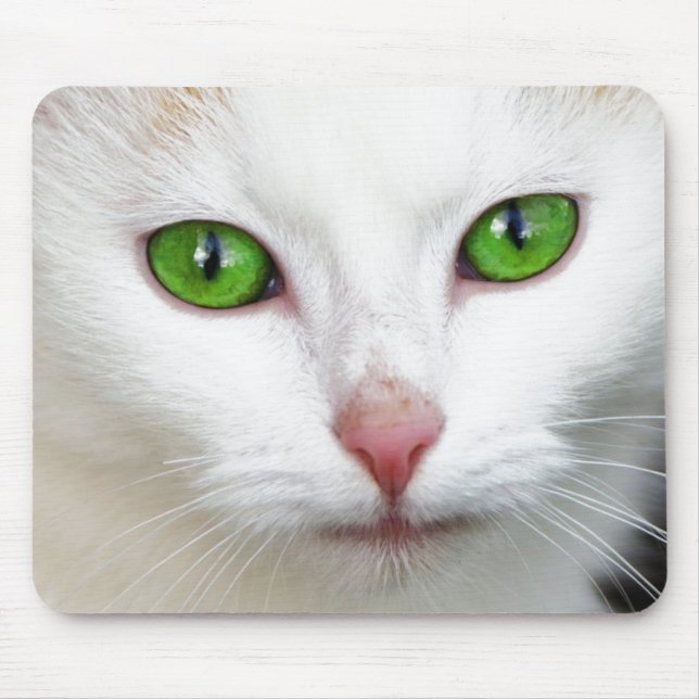 Mousepad Gato Branco Olhado Verde (Frente)