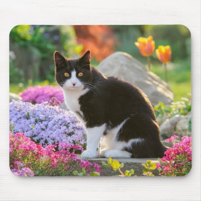 Mousepad Gato branco preto e bonito em um jardim de flores  (Frente)