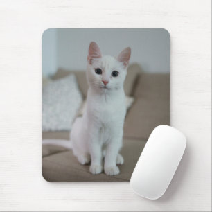 Mousepad Gato branco Zazzle_Growth.