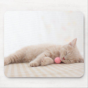 Mousepad Gato britânico de Shorthair