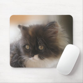 Mousepad Gato Cinto