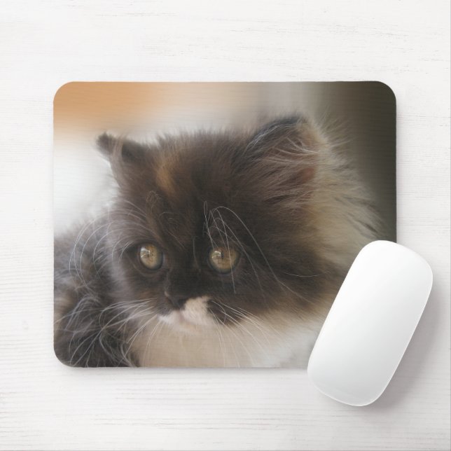 Mousepad Gato Cinto (Com mouse)