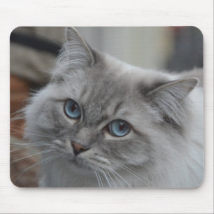 Mousepad Gato cinzento bonito com tapete do rato dos olhos