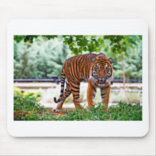 Mousepad gato com estampa de tigre personalizado aniversári