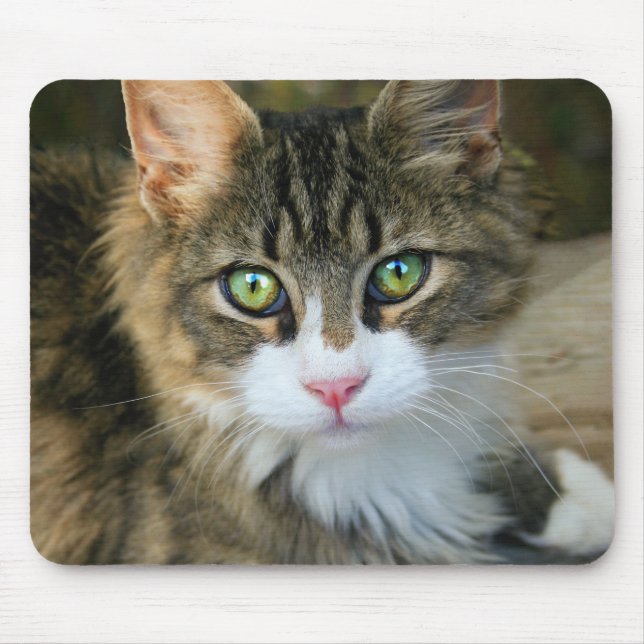 Mousepad Gato com olhos verdes (Frente)