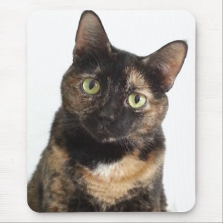 Mousepad Gato da concha de tartaruga