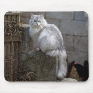 Mousepad Gato de Angora Branca de Cinzas