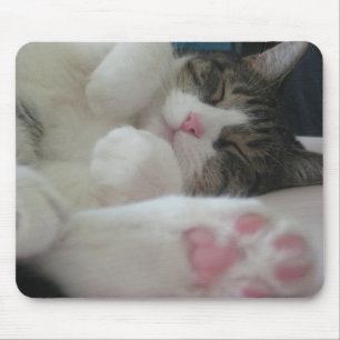 Mousepad Gato de Bootsie