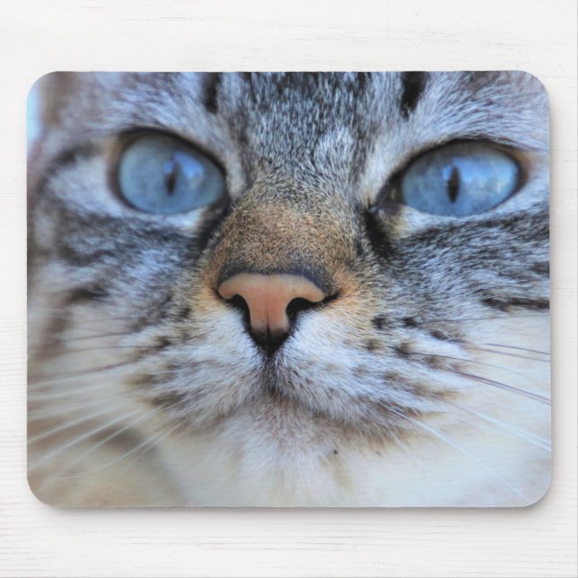 Mousepad Gato de cinza (Frente)