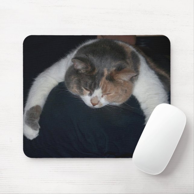 Mousepad Gato De Dormir Calico Em Pá (Com mouse)