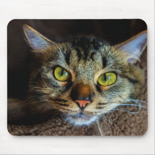 Mousepad Gato de Flauffy Tabby