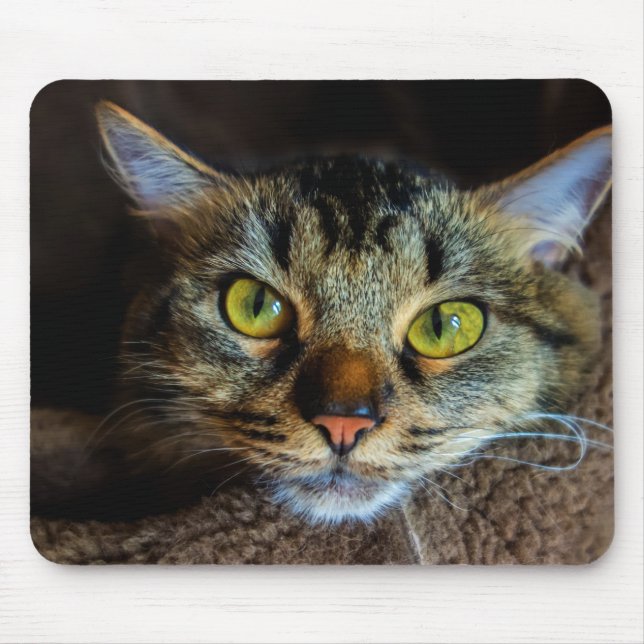 Mousepad Gato de Flauffy Tabby (Frente)