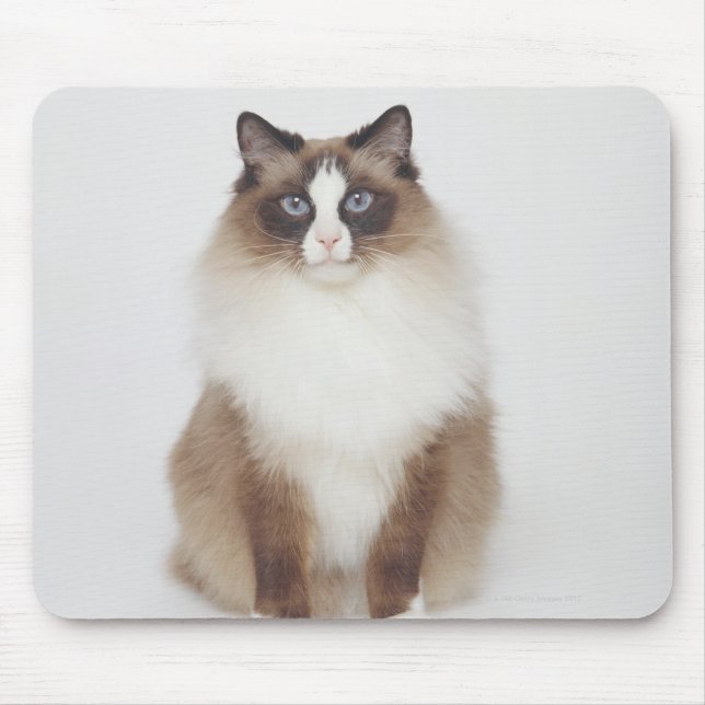 Mousepad Gato de Furto Grande (Frente)