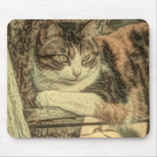 Mousepad Gato de gato-do-campo russo amante da fazenda cali