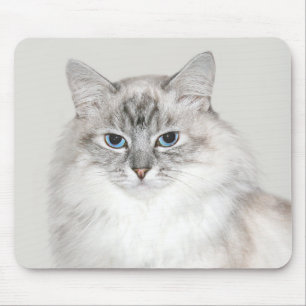 Mousepad Gato de Himalaia azul