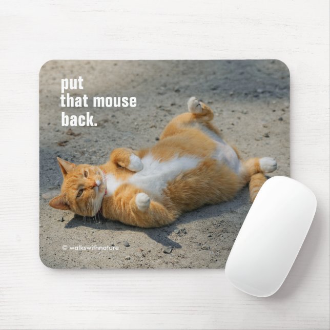 Mousepad Gato de Laranja Bonito Engraçado de Shadowboxing n (Com mouse)