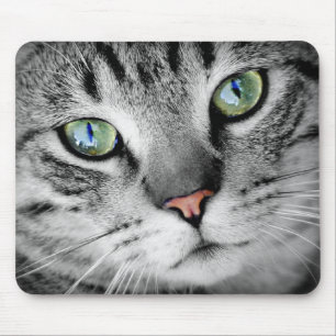 Mousepad Gato de olhos