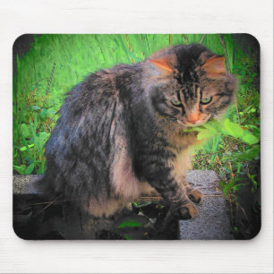 Mousepad Gato de racum de Maine em tijolos