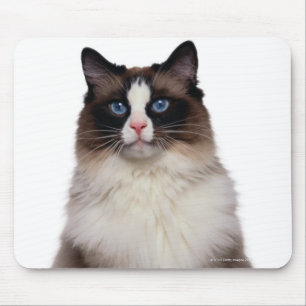 Mousepad Gato de Ragdoll