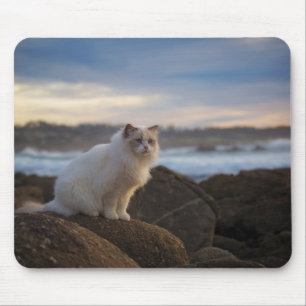 Mousepad Gato de Ragdoll na praia