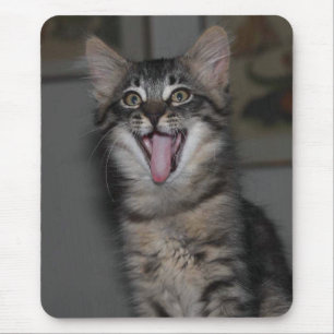 Mousepad Gato de Rato de Gatinho