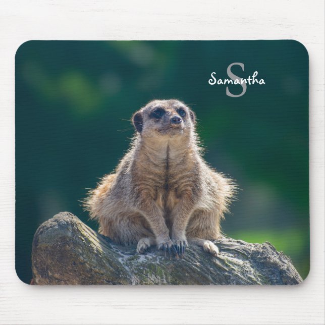 Mousepad Gato de rato de Meerkat (Frente)