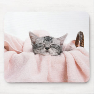 Mousepad Gato de Shorthair do americano