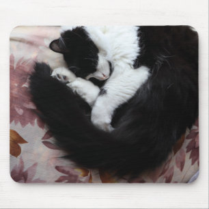 Mousepad Gato de Tuxedo Gato Gato Gato Preto e Branco