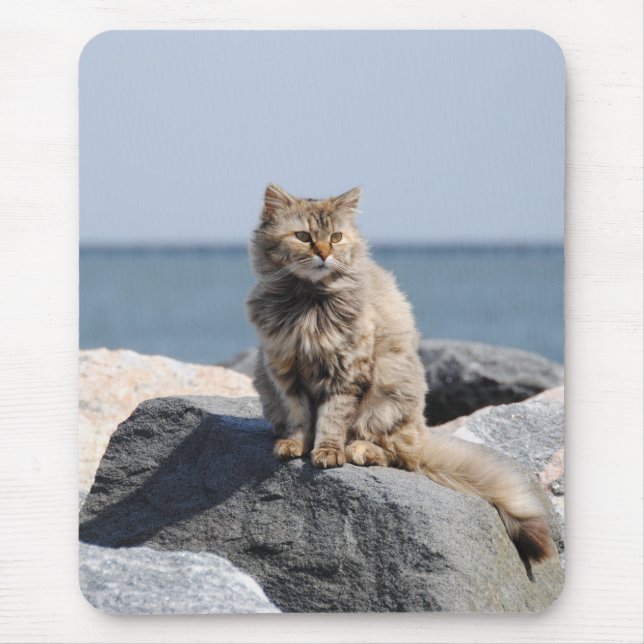 Mousepad Gato Desgrenhado pelo Mar Foto Fofa (Frente)