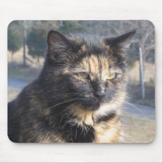 Mousepad Gato digno