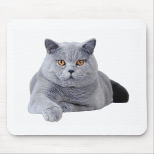 Mousepad gato-do-mato-pequeno