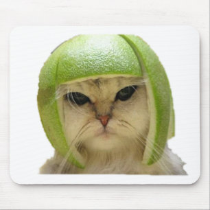 Mousepad gato do melão