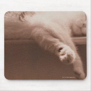 Mousepad Gato do sono