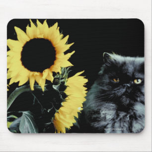 Mousepad Gato e girassol