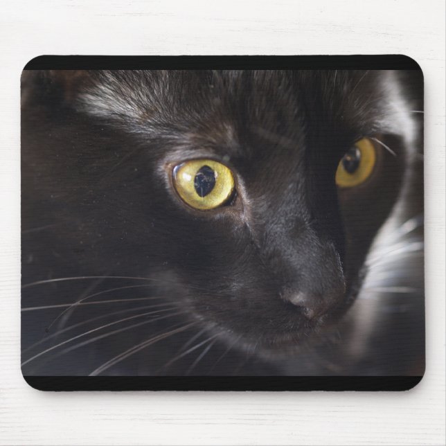 Mousepad Gato e rato (Frente)