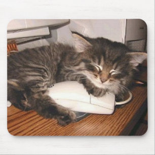 Mousepad Gato e rato
